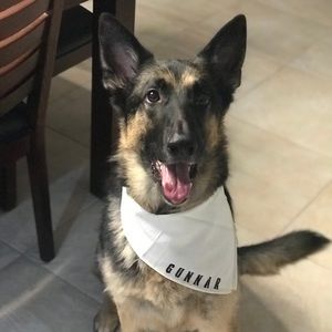 Meet your Posher, Sophia